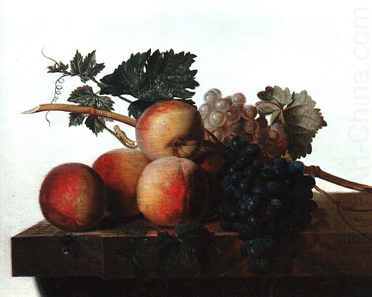 Still Life with Fruit fhf, John Johnston